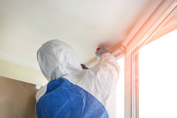 Environmental Consulting for Mold Prevention in Rossford, OH