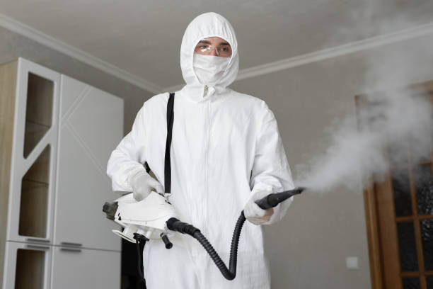 Reliable Rossford, OH Mold Removal & Remediation Solutions